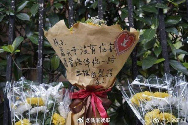 59负重轮是什么梗